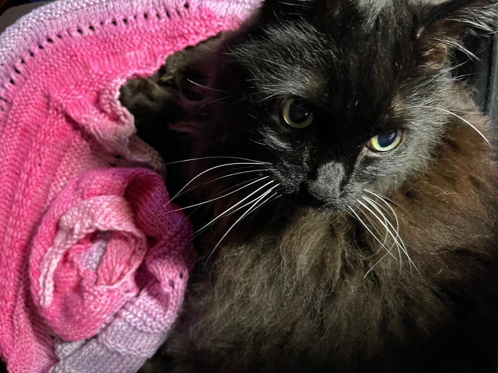 Variation on a&nbsp;theme