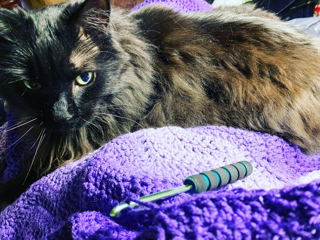 A post-holiday project